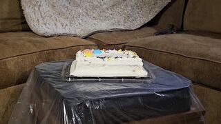 Cake Sitting for Andi