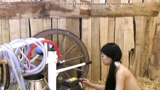 asian woman treated as a cow