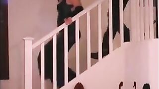 Soiree in company of two ladies