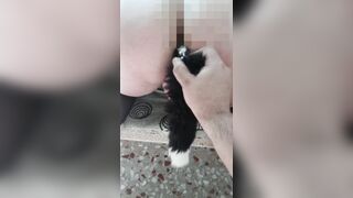 Adventure Compilation 1