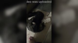 Verification episode