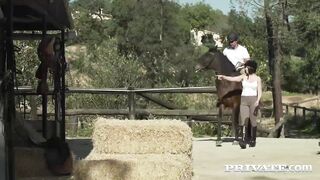 Intimate.com - Rider Yasmin Scott Rides a Hung Stud-horse