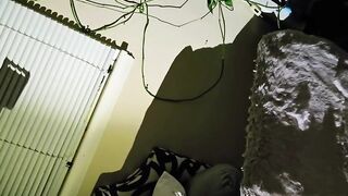Woww Reniis So Damn Worthwhile Smokin' Some Crystal with Bigdbg W/ Sexii Silhouette Play Hawt