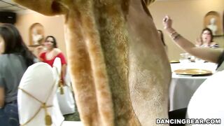 It's time to celee and party with the infamous Dancing Bear! (db9822)