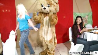 It's time to celee and party with the infamous Dancing Bear! (db9822)