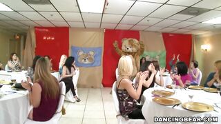 It's time to celee and party with the infamous Dancing Bear! (db9822)