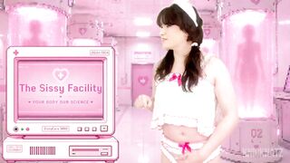 Sissy Terms and Conditions