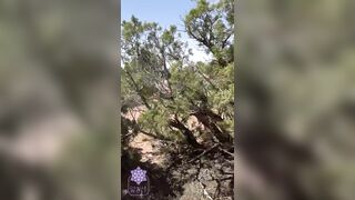 POV Cum All Over Large Melons Banged a Stranger in Nature Scenic Hike