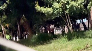 I went looking for a wicked single dude at the dogging spot! We arranged to meet fans in the square and they showed up.