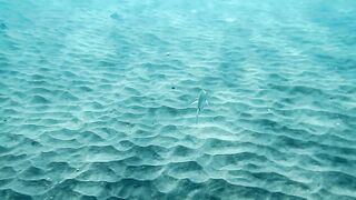 Hotties naked alone in the sea