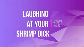 Thanks for the Laughs Shrimpdick