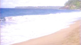 Undercover Agents Francois Papillon and Kascha Were Sent to Hawaii to Catch Syndicate Large Fish