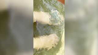 Teasing & Water Foot Joy In The Sun