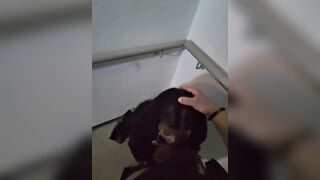 Shy Gal Gets Convinced in Elevator to Gulp a Stranger's Cum