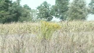 Sex in backseat car. Public sex. Taxi driver stopped car on side of road. Hawt golden-haired mother I'd like to fuck masturbated shlong. Then guy put woman doggystyle drilled pussy and ejaculation. Cum in vagina Creampie Nylons