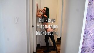 Chloe Cage Mid Afternoon Ebony Breeding