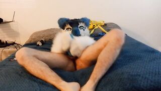 Kobaruto, Sergal having enjoyment in his fresh apartment