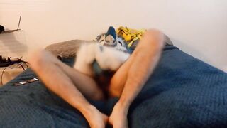 Kobaruto, Sergal having enjoyment in his fresh apartment
