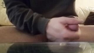 Hornyy