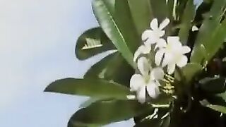 Megan Fabre Alias Lynn - Mauritius