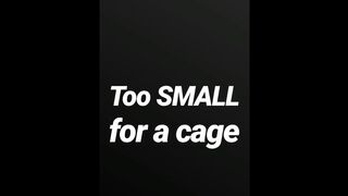 Also tiny for a cage SPH JOI AUDIO MERELY