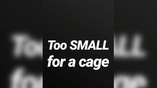 Also tiny for a cage SPH JOI AUDIO MERELY