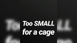 Also tiny for a cage SPH JOI AUDIO MERELY