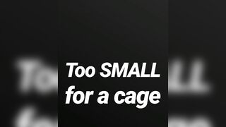 Also tiny for a cage SPH JOI AUDIO MERELY