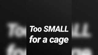Also tiny for a cage SPH JOI AUDIO MERELY
