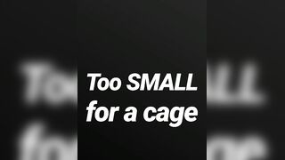 Also tiny for a cage SPH JOI AUDIO MERELY