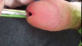 Virgin tries sounding with a 12mm urethral sound