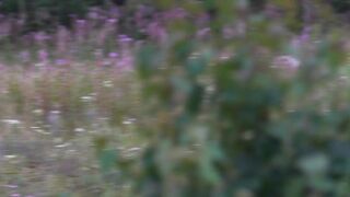 Screwed in the throat on the edge of the forest