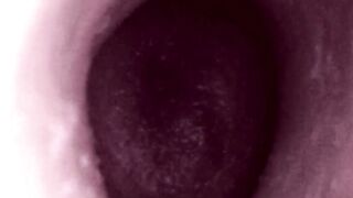 Anonymous Doll Creampie: Just the inner web camera.
