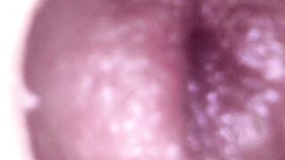 Anonymous Doll Creampie: Just the inner web camera.