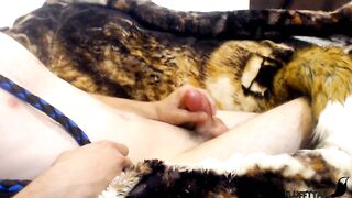 Pet Fox hunk lewds Janine the Bad Dragon Toy - with inner camera