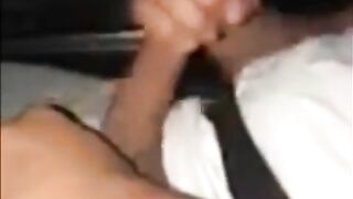 Playing with him during the time that My Lyft driver takes me home
