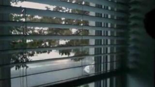 Abode window dong flashing