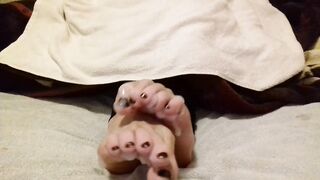 Widening thick cum between my toes - cum on feet