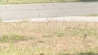 Masturbating for my neighbour. This guy kept trying not to see