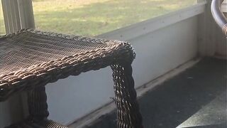 Masturbating for my neighbour. This guy kept trying not to see