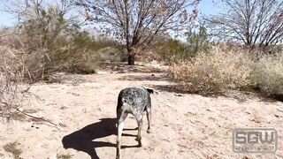 Screwing and Sucking in the Las Vegas Wetlands