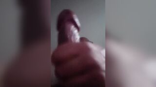 Evening Nut