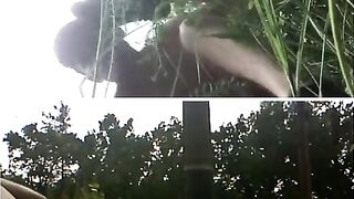 Самоотсос на публике SELFSUCK