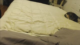 Beautiful girl masturbate on the bed