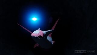 CUTE DRAGON BIRD RAILED BY SLUTTY BAT [LATIAS x NOIVERN] [CUM EXPLOSION]