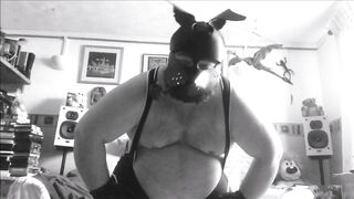 Astros DaddyDawg vid