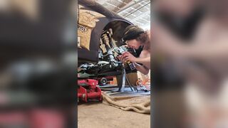 Mechanic Stripped on My Car