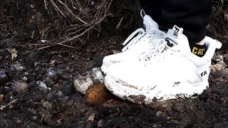 Teddy vs. Buffalo Sneaker
