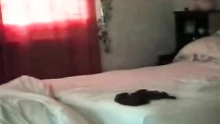 Cuckold Archive, pale white wife with BBC bull