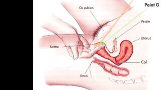 Learn how to squirt